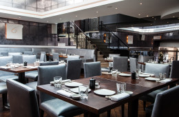 Nozomi Interior 2 (2)