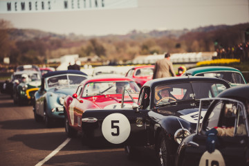 Goodwood Members Meeting 1 IMG_1939