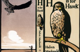 final H is for hawk cover