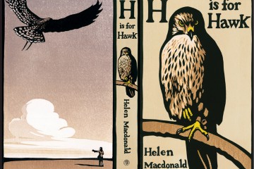 final H is for hawk cover