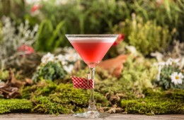 Cocktails in the City-min