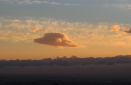 World UFO Day