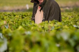 8. Bruno PAILLARD copyright studicabrelli