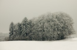 5290029925_738099826a_b