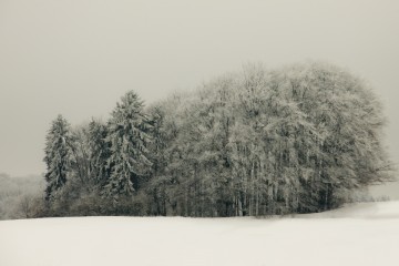 5290029925_738099826a_b