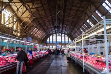 IMG_2299