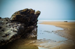 Beach by Andy Barnham