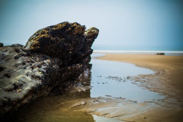 Beach by Andy Barnham