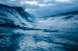 photo-1452723312111-3a7d0db0e024