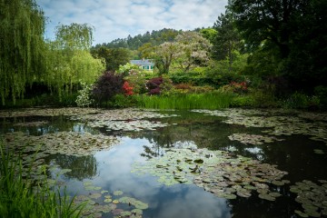 Painting the Modern Garden, Monet's Garden at Giverny © EXHIBITION ON SCREEN