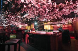 Suntory Blossom_Benjamin Eagle_HighRes-10